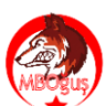 bugrastar