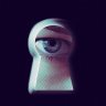 THS-Agent002