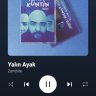 egedemir