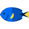 Vehbi