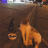 JounnDe_911