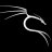 Shadov_v