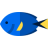 Vehbi