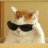 PcPassCat