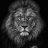aslan00